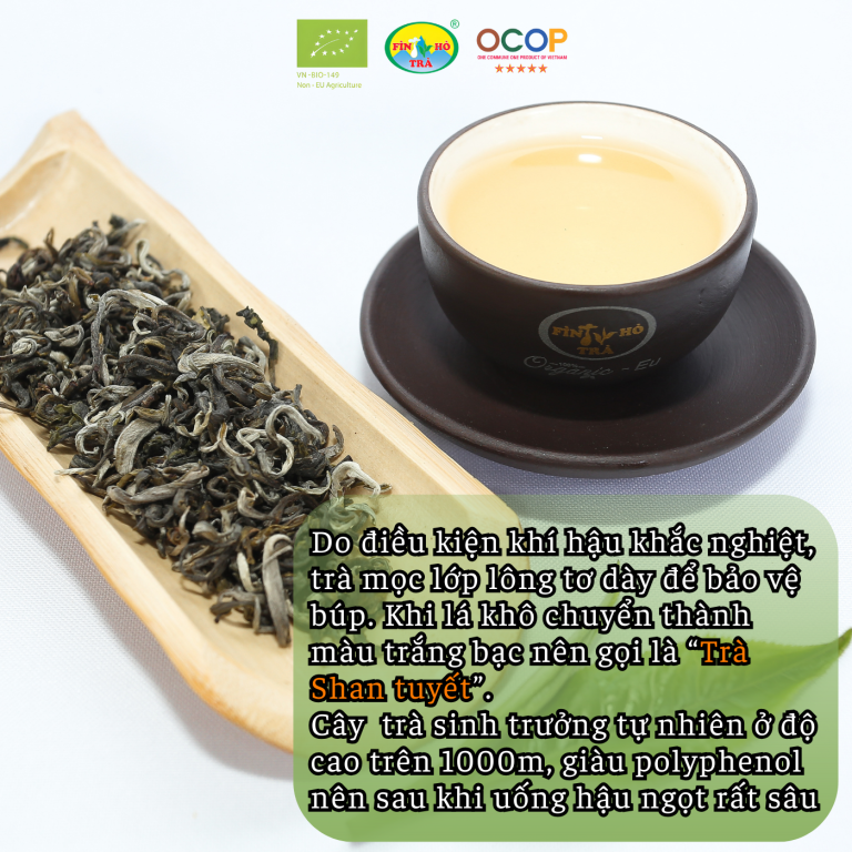 Lục Trà Shan Tuyết Thượng Hạng (Organic EU) – OCOP ⭐⭐⭐⭐⭐