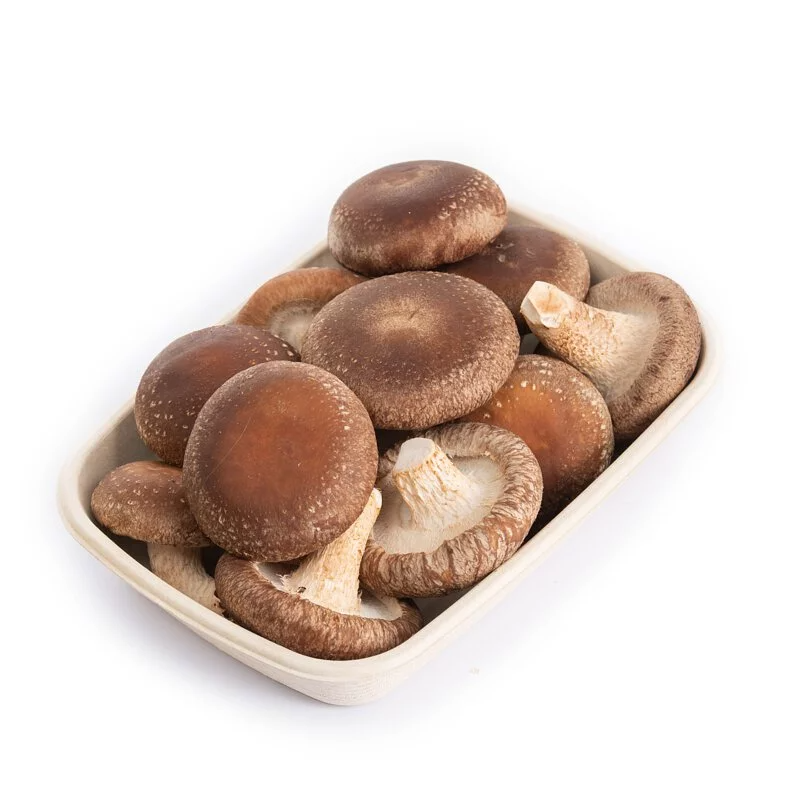 Nấm hương tươi hữu cơ 200gram