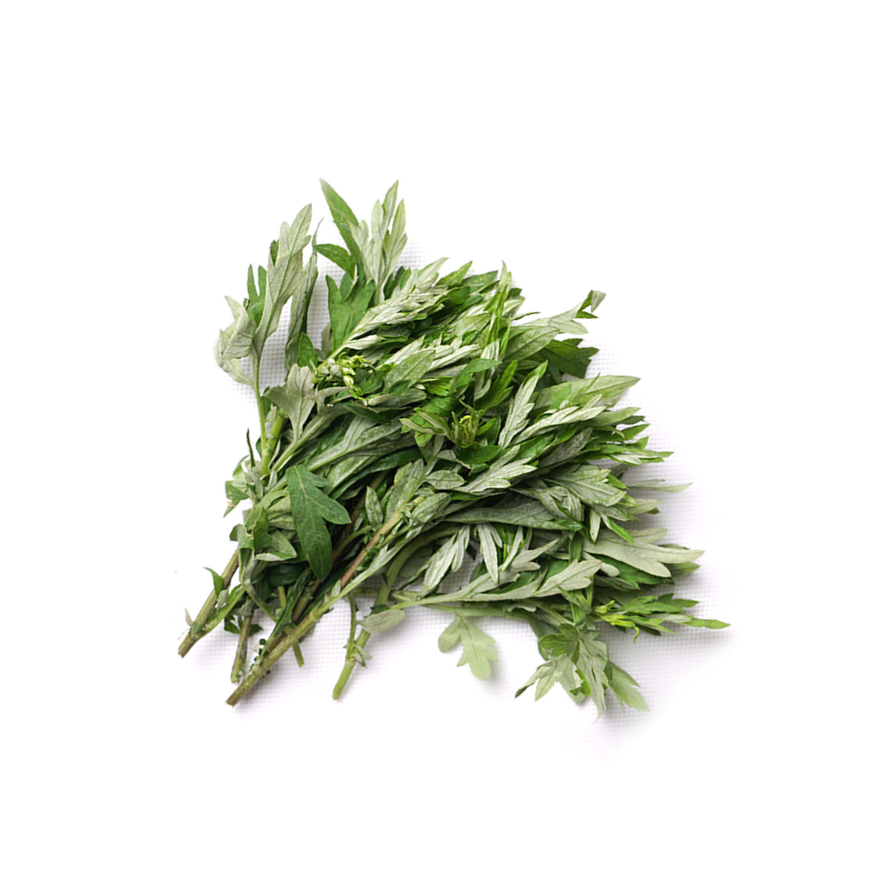 Ngải cứu hữu cơ KSF 200G