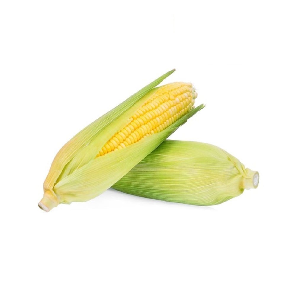 Ngô ngọt hữu cơ CTF