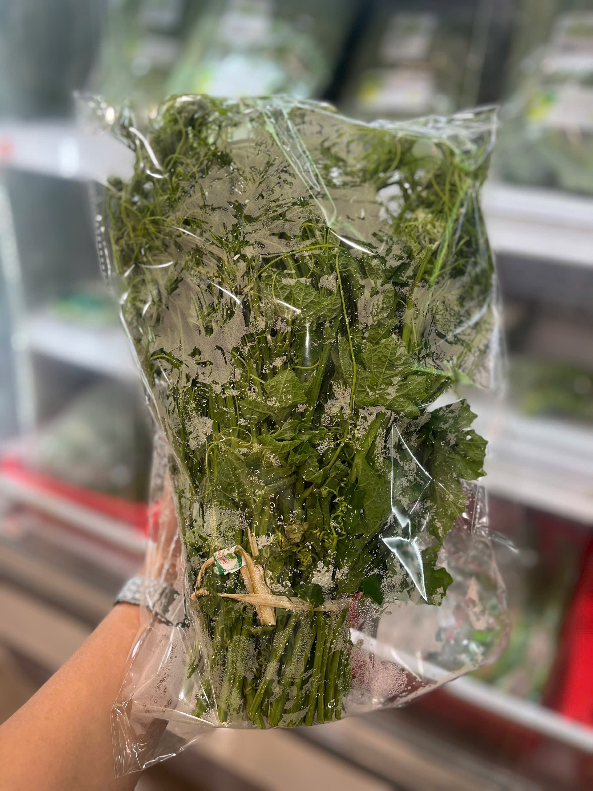 Ngọn mướp hữu cơ Đại Ngàn