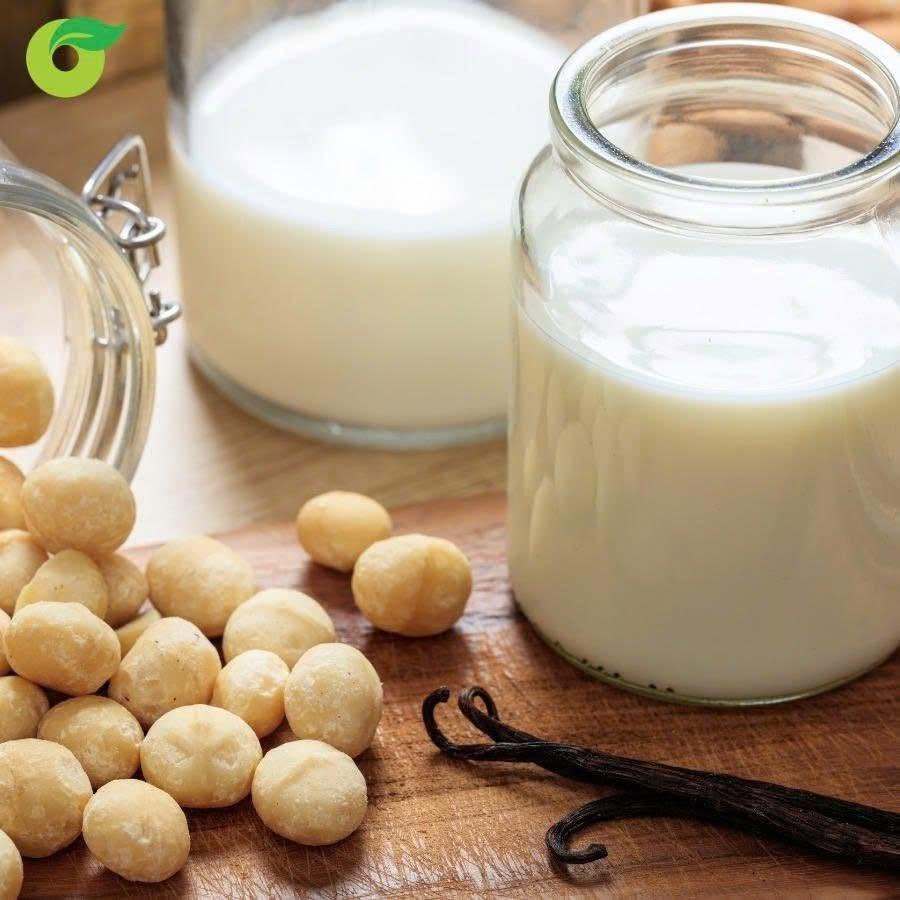 Nhân hạt Mắc ca cấp đông 200gr