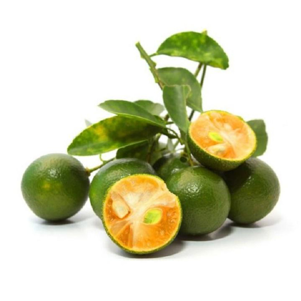 Quất chua hữu cơ DNF 250G