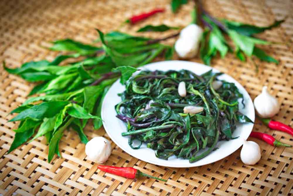 Rau bầu đất hữu cơ CTF