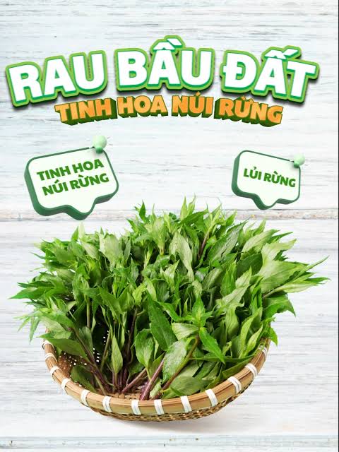 Rau bầu đất hữu cơ KSF 250G