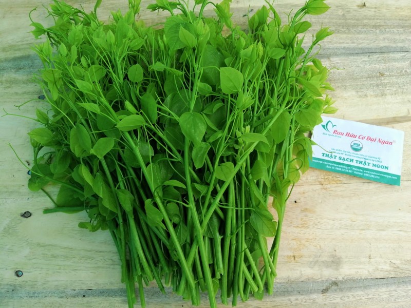 Rau bò khai hữu cơ DNF 200G