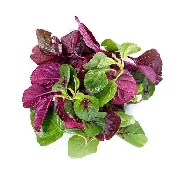 Rau dền hữu cơ KSF 250G