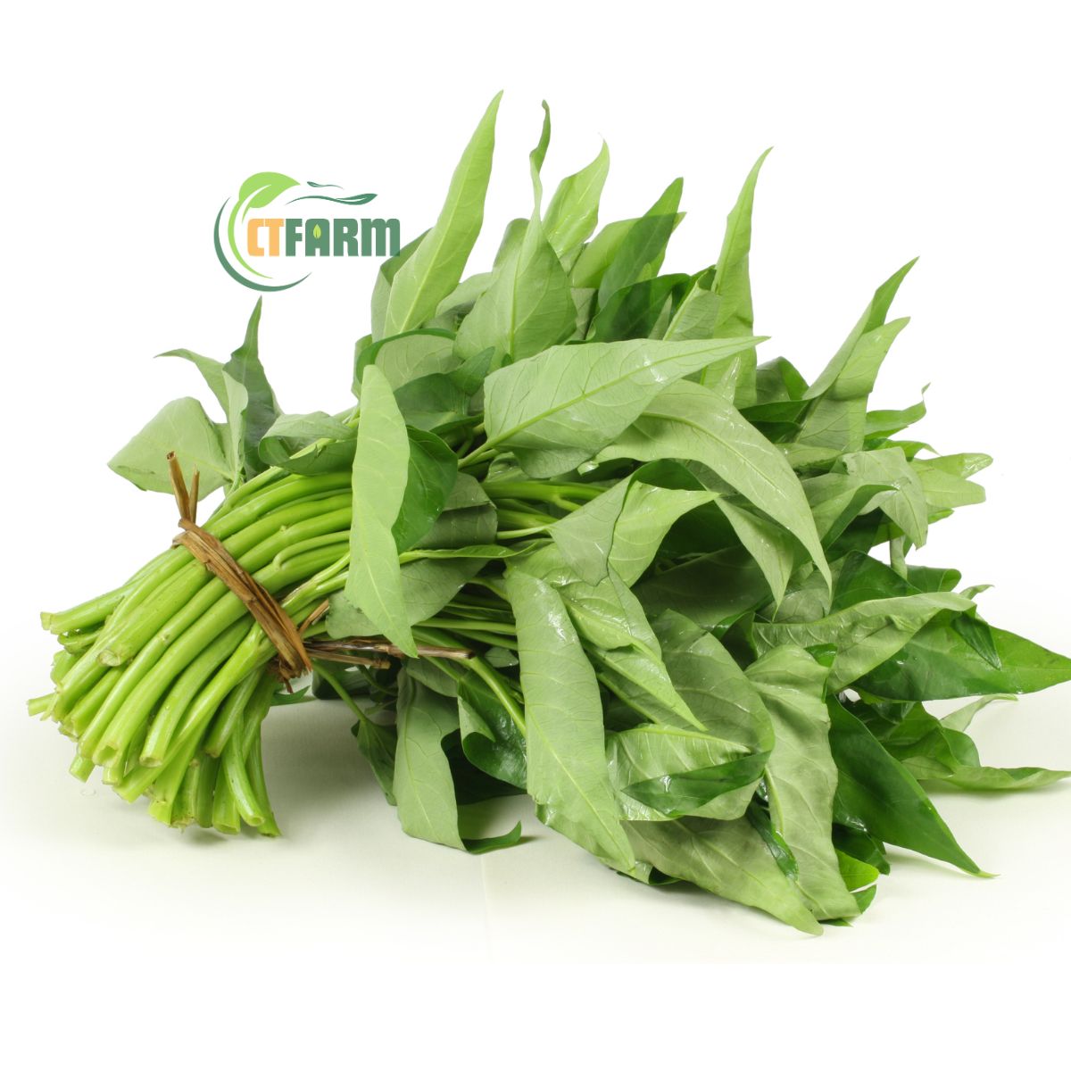 Rau muống hữu cơ CTF