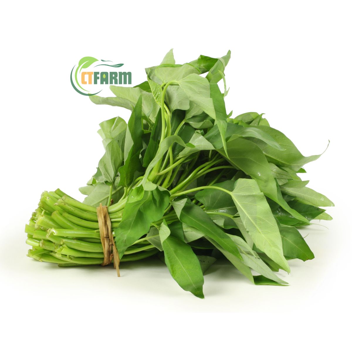 Rau muống hữu cơ CTF