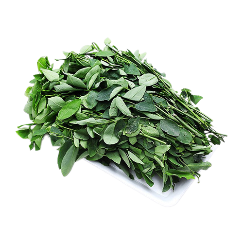 Rau ngót hữu cơ DNF 150G