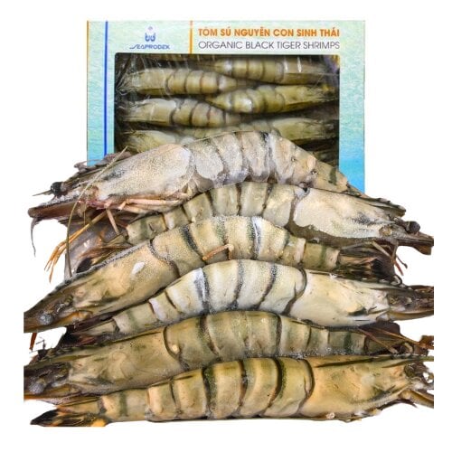 Tôm sú sinh thái NC hữu cơ 14 con 500G