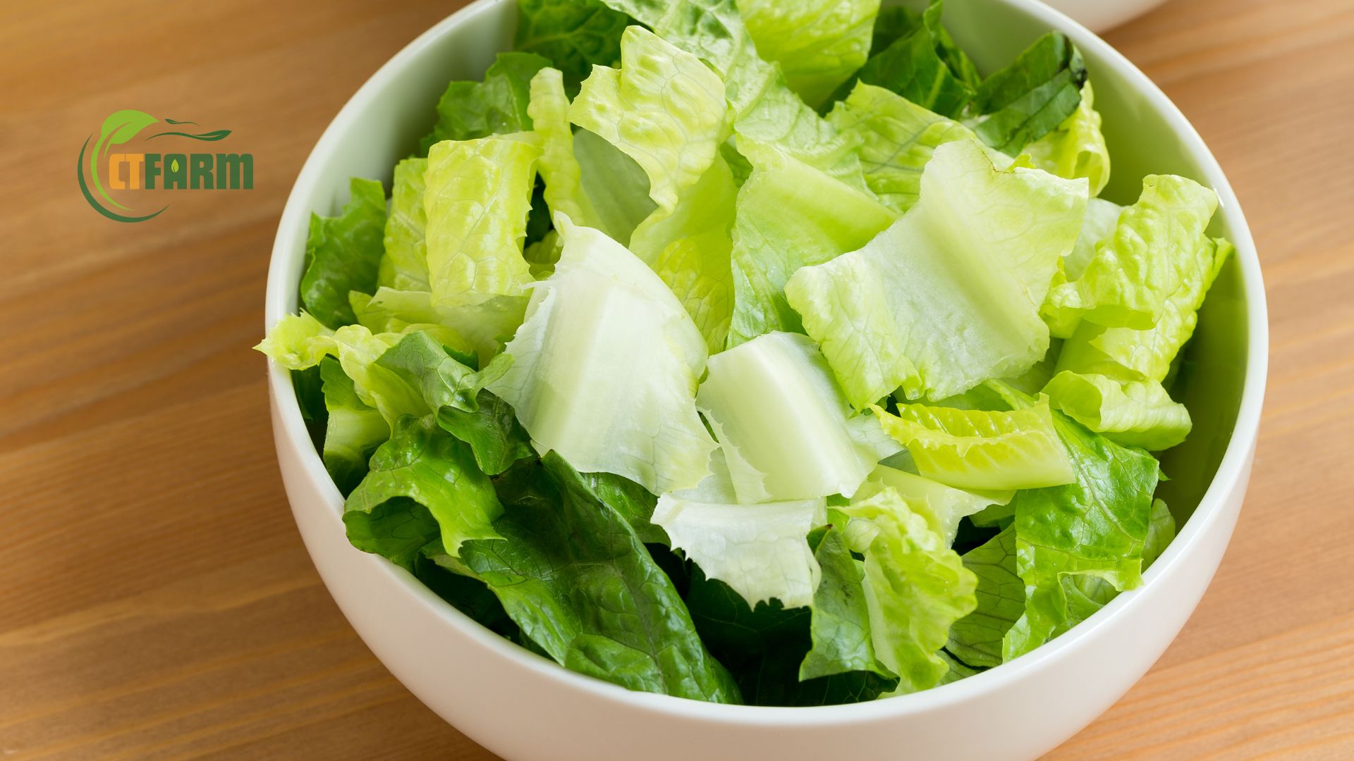 Xà lách romaine hữu cơ CTF