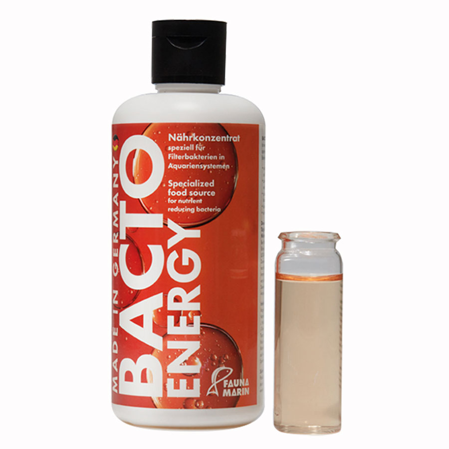 Bacto Energy – Thức ăn vi sinh - 250ml