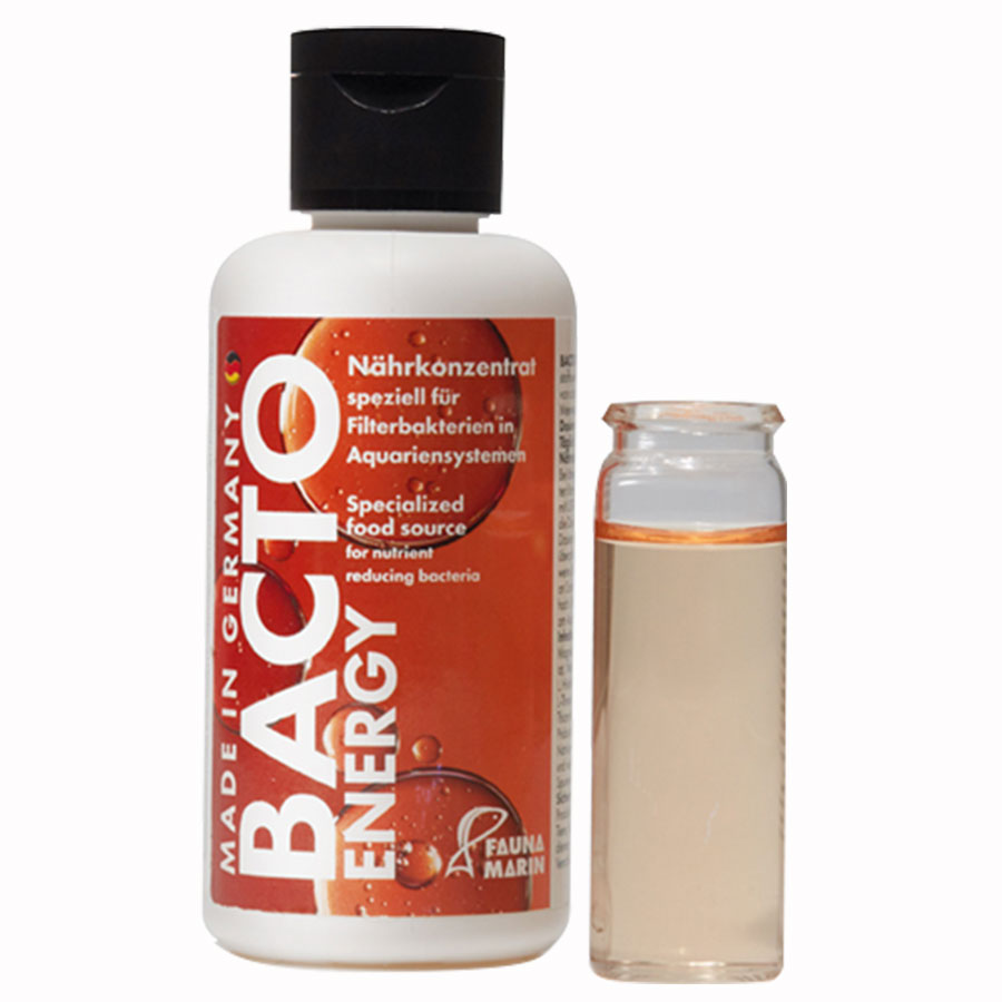 Bacto Energy – Thức ăn vi sinh - 100ml