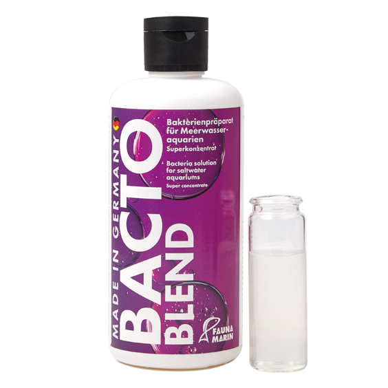 Bacto Reef Blend 250ml