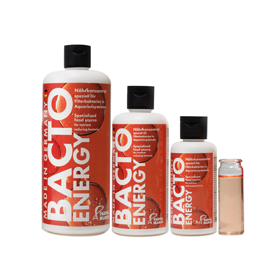 Bacto Energy – Thức ăn vi sinh - 100ml