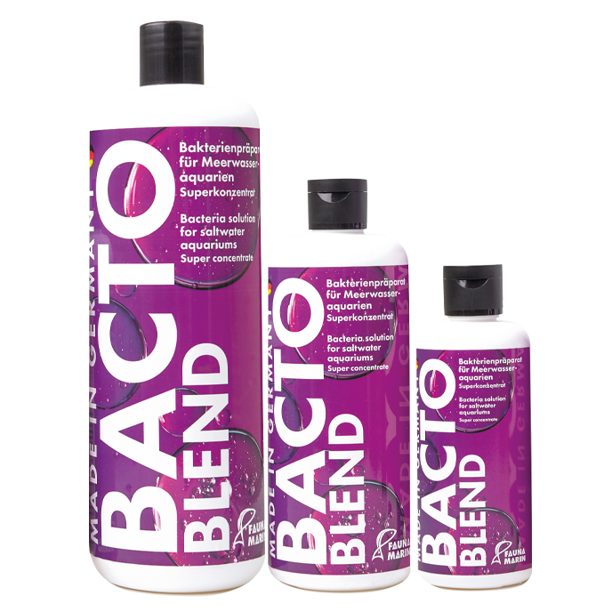 Bacto Reef Blend 500ml