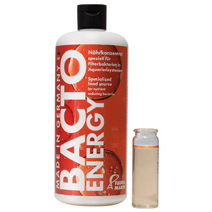 Bacto Energy – Thức ăn vi sinh - 500ml