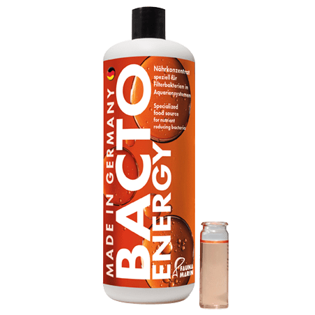 Bacto Energy – Thức ăn vi sinh - 1000ml