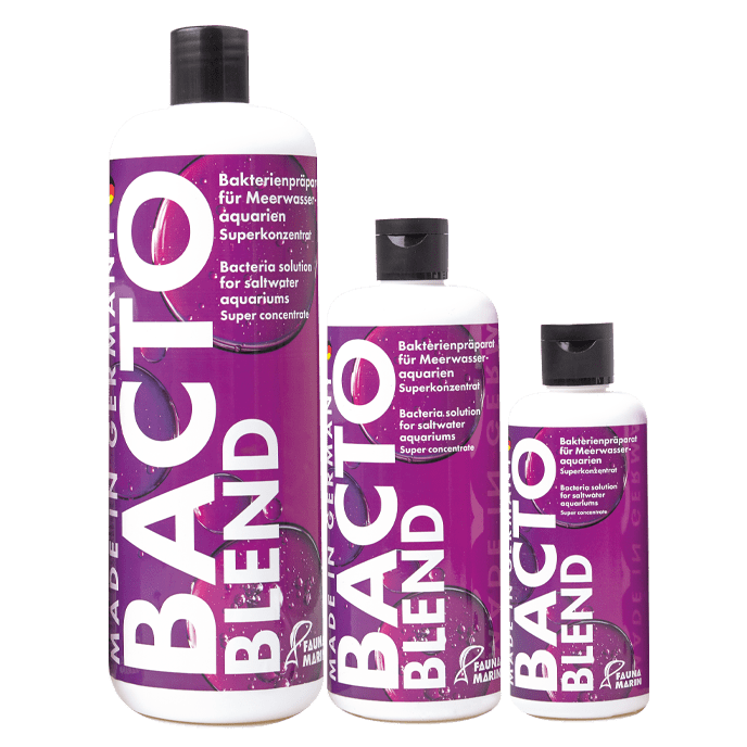 Bacto Reef Blend 1000ml