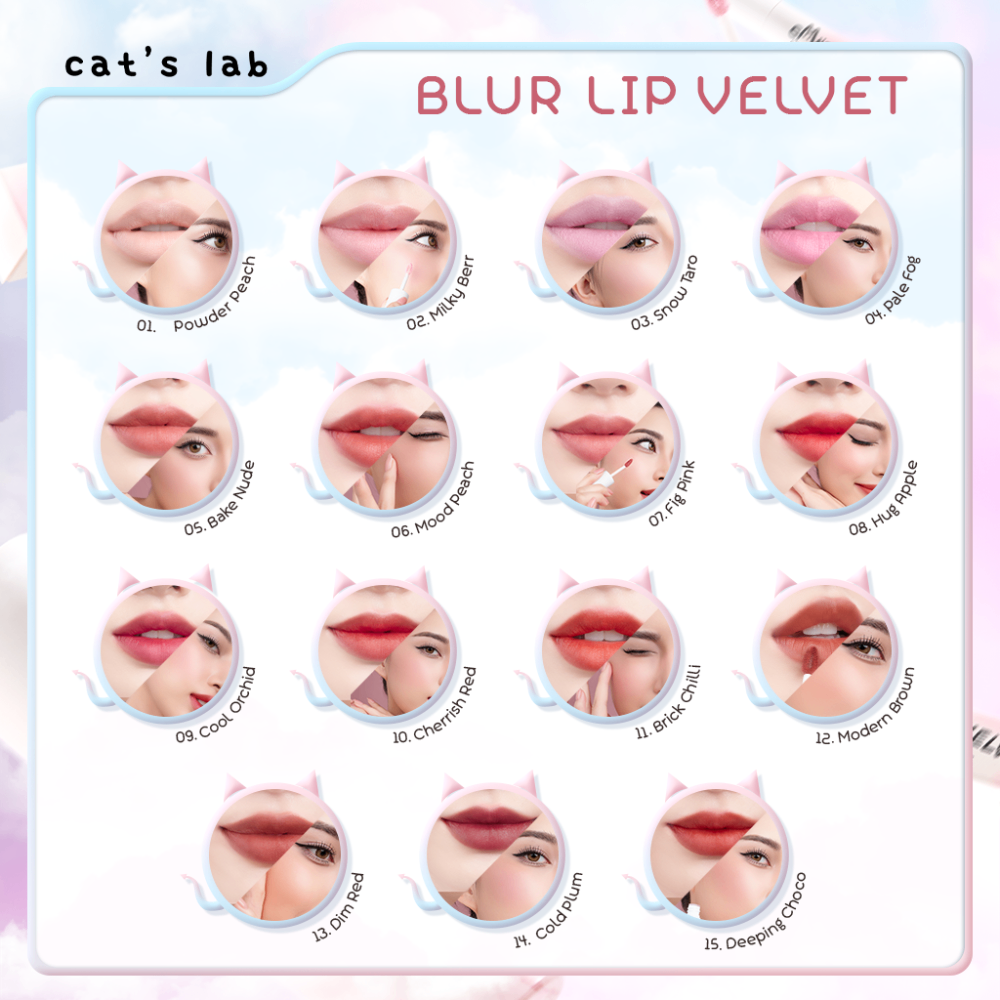 Son kem Cat's Lab Blur Lip Velvet 25.5g chất son mịn lì dễ tán