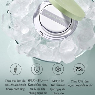 Cushion chống nắng Derma Factory Mild Sun Cushion SPF 50+ PA++++ 26g nâng tone nhẹ nhàng che phủ tốt
