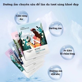 Mặt nạ giấy CHANDO Himalaya 25ml cân bằng độ ẩm, sáng da
