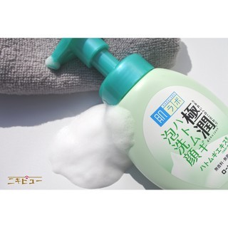 Sữa rửa mặt tạo bọt Hada Labo 160ml dành cho da nhờn và da khô