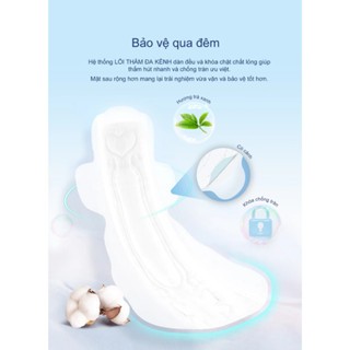 Băng vệ sinh Aiwina (Hương trà) các loại chống tràn tuyệt đối siêu thấm