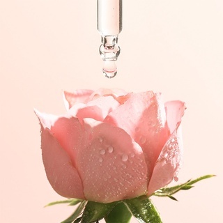 Tinh chất hoa hồng Cocoon Rose Serum The Cocoon 30ml không chứa cồn, giúp cấp ẩm và phục hồi da