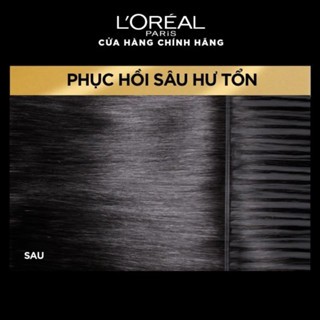 Dầu gội xả cao cấp Loreal Paris Elseve Extraordinary 440ml dưỡng tóc suôn mượt ngăn ngừa xơ rối