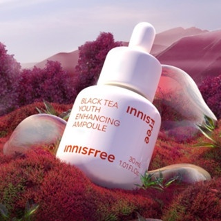 Tinh chất Innisfree Black Tea Youth Enhancing Ampoule 30ml ngăn ngừa lão hóa làm dịu da