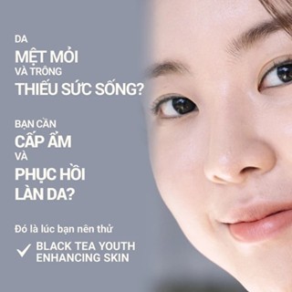 Tinh chất Innisfree Black Tea Youth Enhancing Ampoule 30ml ngăn ngừa lão hóa làm dịu da