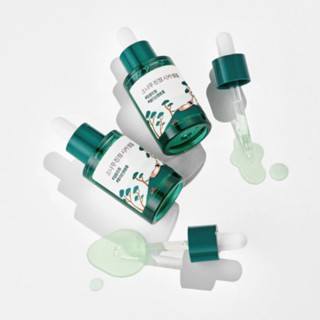 Tinh chất dịu da Round Lab Pine Calming Cica Ampoule 30ml giảm đỏ da, giảm kích ứng