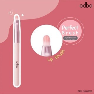 Bộ cọ trang điểm 4 cây Odbo Perfect Brush Professional Beauty Tools 10g giúp tán đều kem nền, kem lót, phấn mắt, son môi