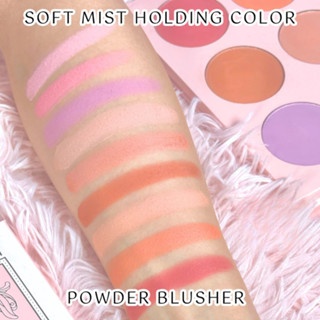 Phấn má hồng Mona Soft Mist Holding Color Powder Blusher 9 ô 44.1g chất phấn mịn lên màu chuẩn