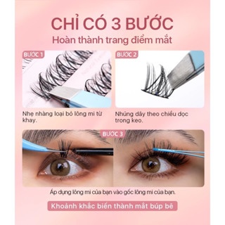 Mi giả Mlen Diary Wispy & Doll Eyelashes 10g siêu tự nhiên thích hợp cho người mới bắt đầu