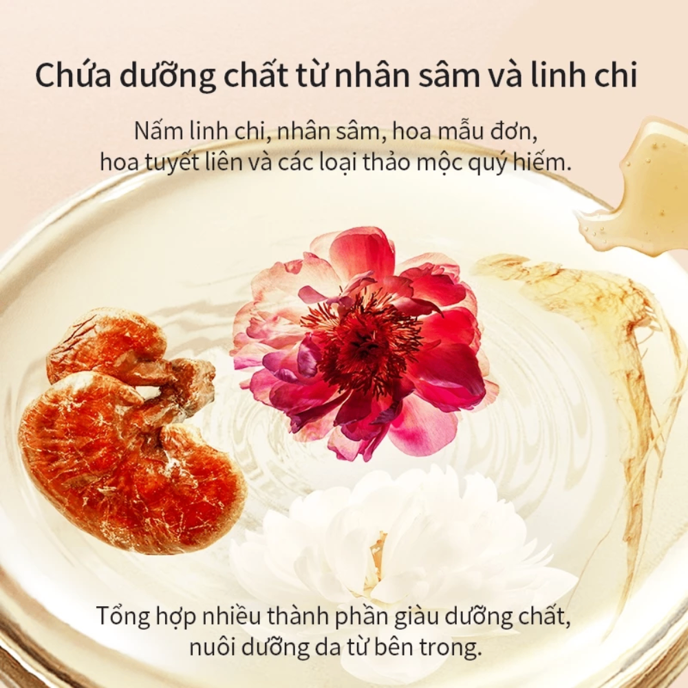 Phấn phủ nén Hexze Lacquer Seal Tulle Set Up Powder 15g mỏng nhẹ kiềm dầu giữ lớp nền lâu trôi