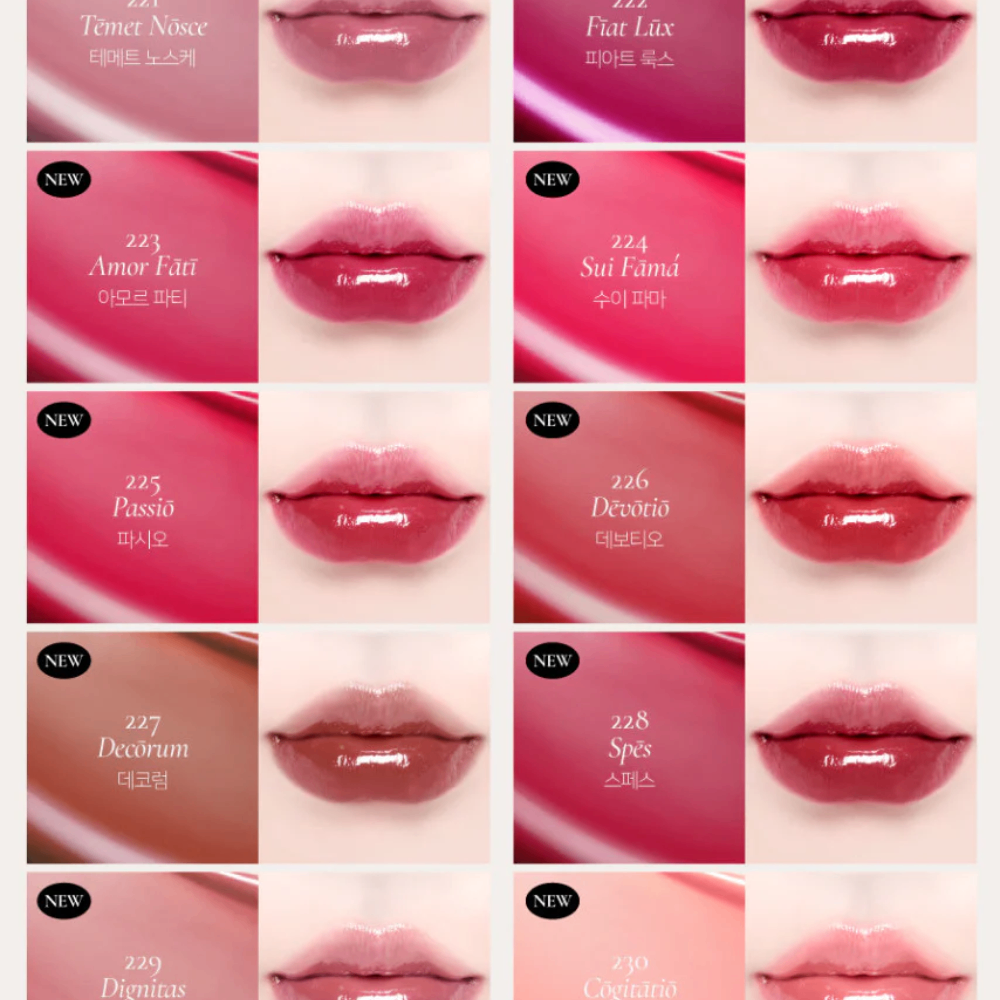 Son tint bóng Dinto Blur - Glowy Lip Tint 3.5g thuần chay tạo hiệu ứng mờ bóng môi căng mịn tự nhiên