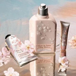Sữa dưỡng thể hoa anh đào L'occitane Cherry Blossom Shimmering Lotion 500ml dưỡng ẩm và giúp làn da trở nên mịn màng