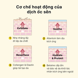 Huyết thanh Cosrx Advanced Snail 96 Mucin Power Essence 100ml cải thiện độ đàn hổi, ngăn ngừa lão hóa
