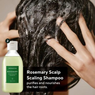 Set 4 món chăm sóc tóc Aromatica Rosemary Scalp Scaling Trial tiện dụng, nhỏ gọn