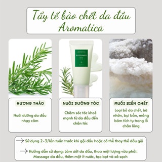 Tẩy tế bào tóc AROMATICA Rosemary Scalp Scrub 165g loại bỏ lớp tế bào chết và bụi bẩn tích tụ trên da đầu