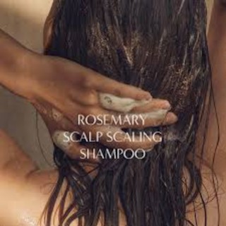 Dầu gội AROMATICA Rosemary Scalp Scaling Shampoo 400ml làm sạch gàu giúp da đầu khỏe mạnh