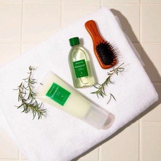 Set 4 món chăm sóc tóc Aromatica Rosemary Scalp Scaling Trial tiện dụng, nhỏ gọn