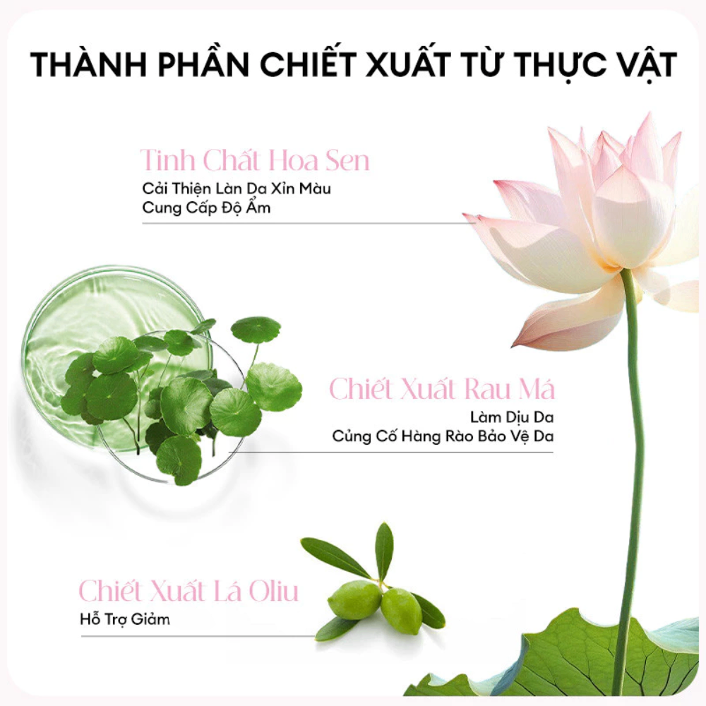 Sữa rửa mặt Colorkey Luminous Lotus Brightening Clay Cleanser 20/100g làm sạch sâu hỗ trợ sáng da
