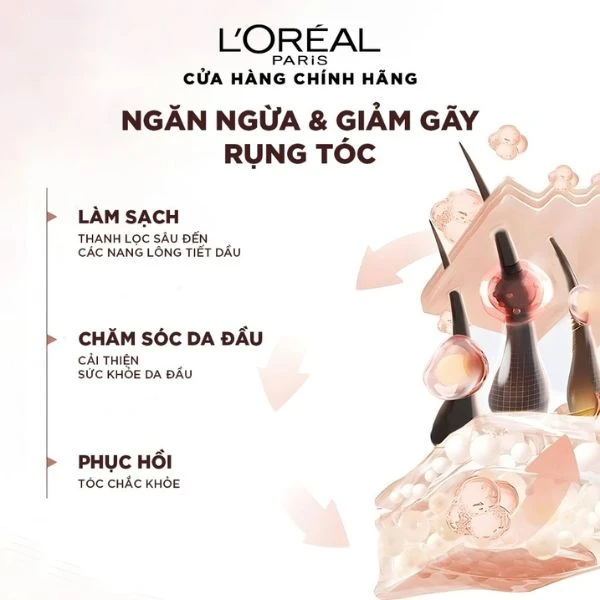 Dầu gội Loreal Full Resist Purifying Shampoo 440ml
