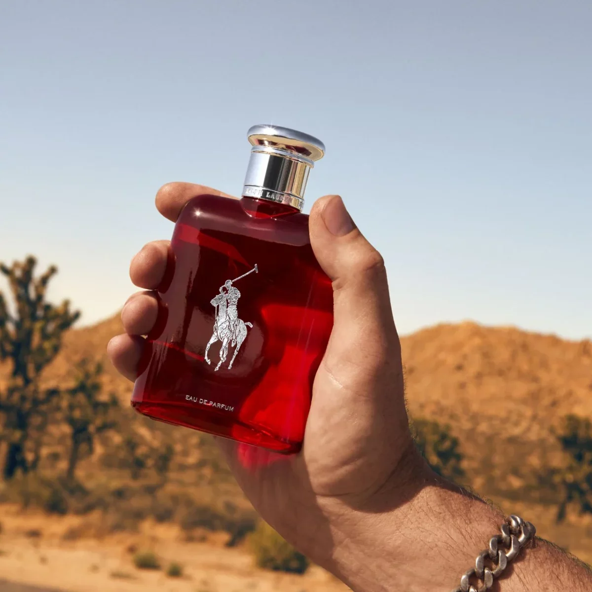 Fullsize Nước Hoa Polo Red EDP đỏ 125ml