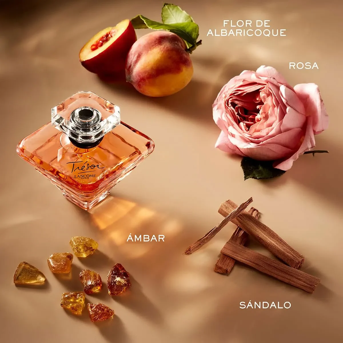 Chiết 10ml nước hoa Lancome Tresor L' EDP 100ml phong cách sang trọng ngọt ngào nữ tính