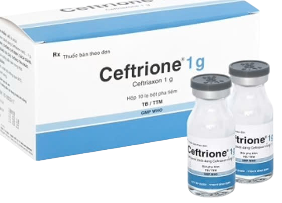 5167. Ceftrione ( Ceftriaxon 1g ; Hộp 10 lọ x 1g ; Thùng 42 hộp) BIDIPHAR.,